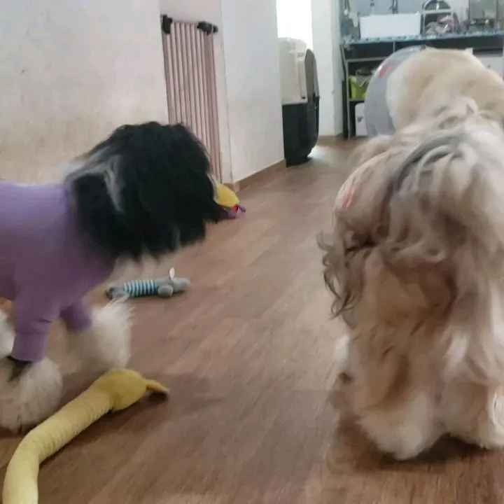 雨の日になりました。