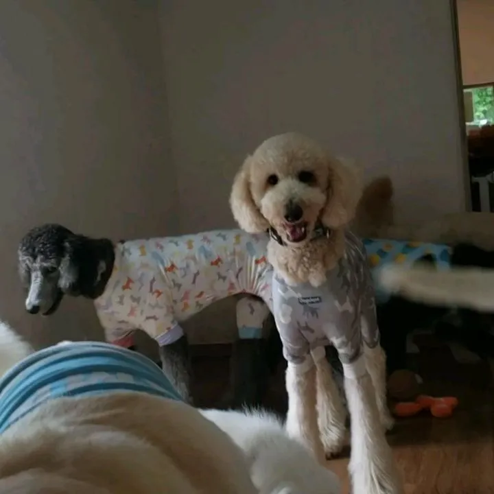 休憩したらプレイタイム🎵