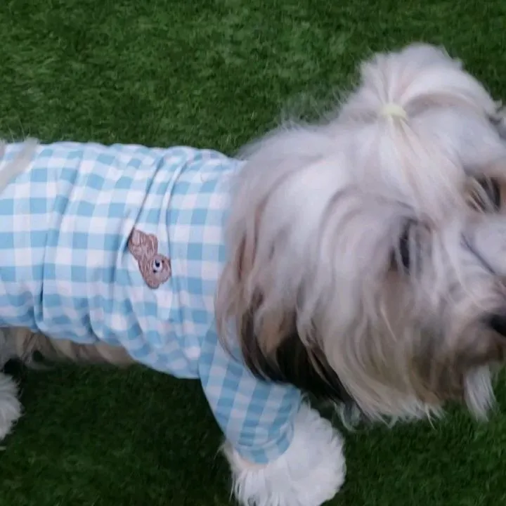 夕方の運動始まりました😊