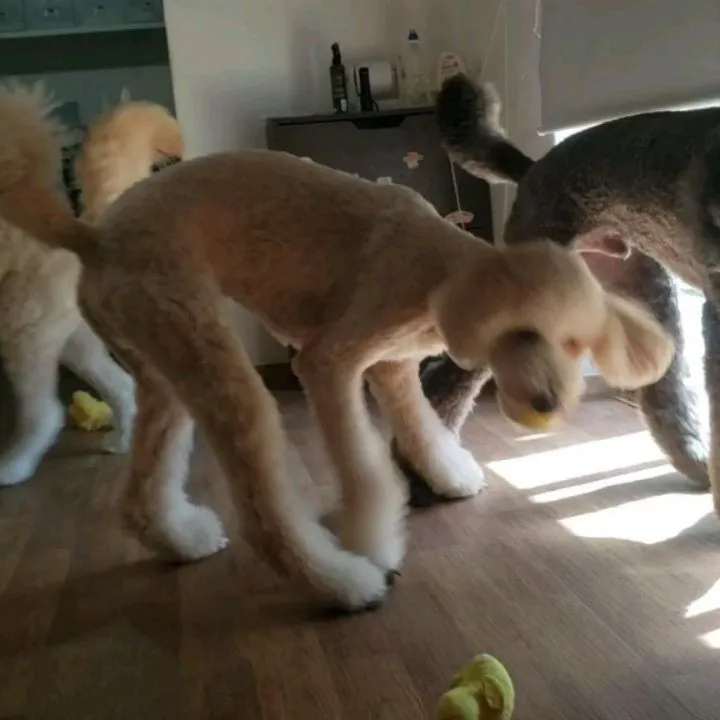 午前中はお部屋でおもちゃ遊び🎵