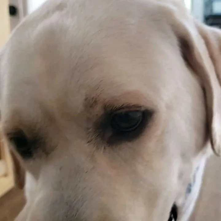 朝はお部屋でおもちゃ遊び🎵