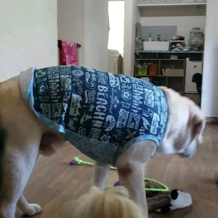 日中はお部屋遊び🎵