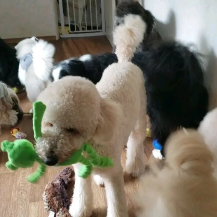 お部屋でおもちゃ遊び🎵