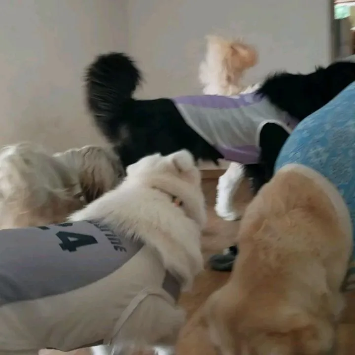 連日プールに入っているので今日は休水日🎵