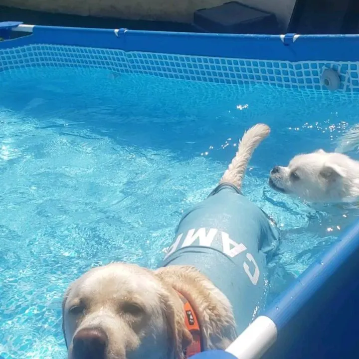 朝から良いお天気です😊