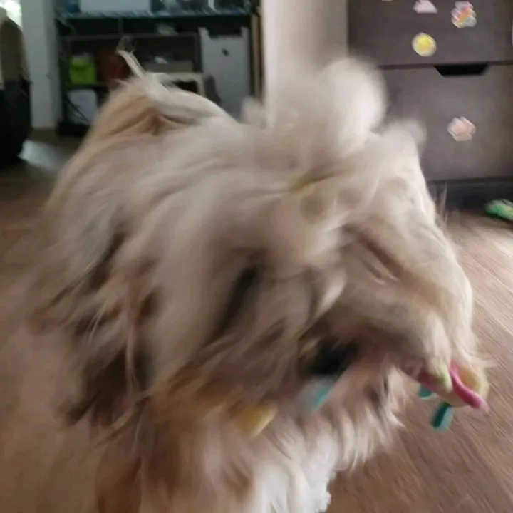 毎日暑い日が続いているので体調管理が重要です。