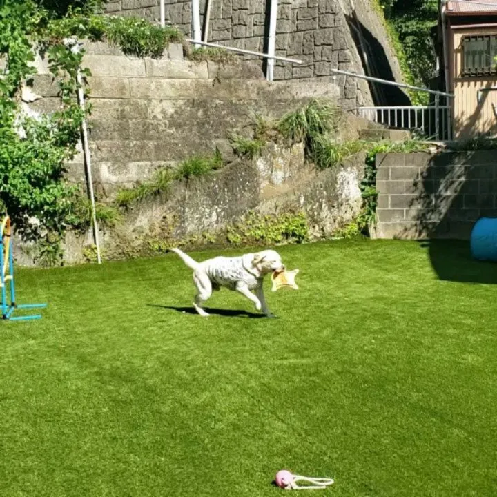 朝からよいお天気☀️