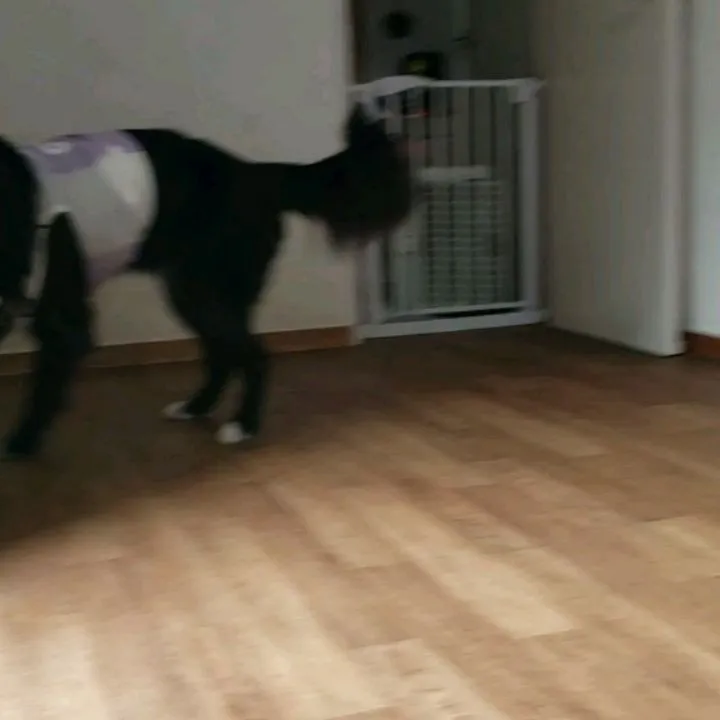 1日雨のようです😓