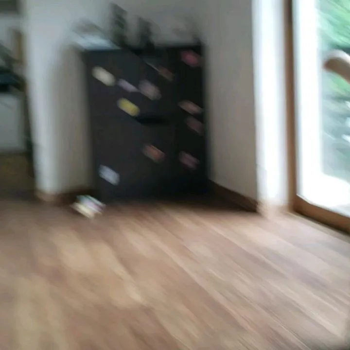 1日中雨のようです😓