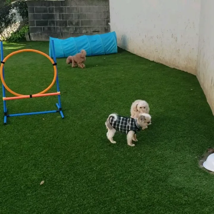 可愛いちびっこたち♥️