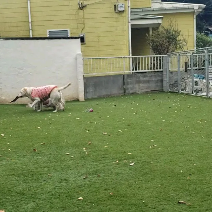 ランで楽しく遊ぶ2ぴき♥️