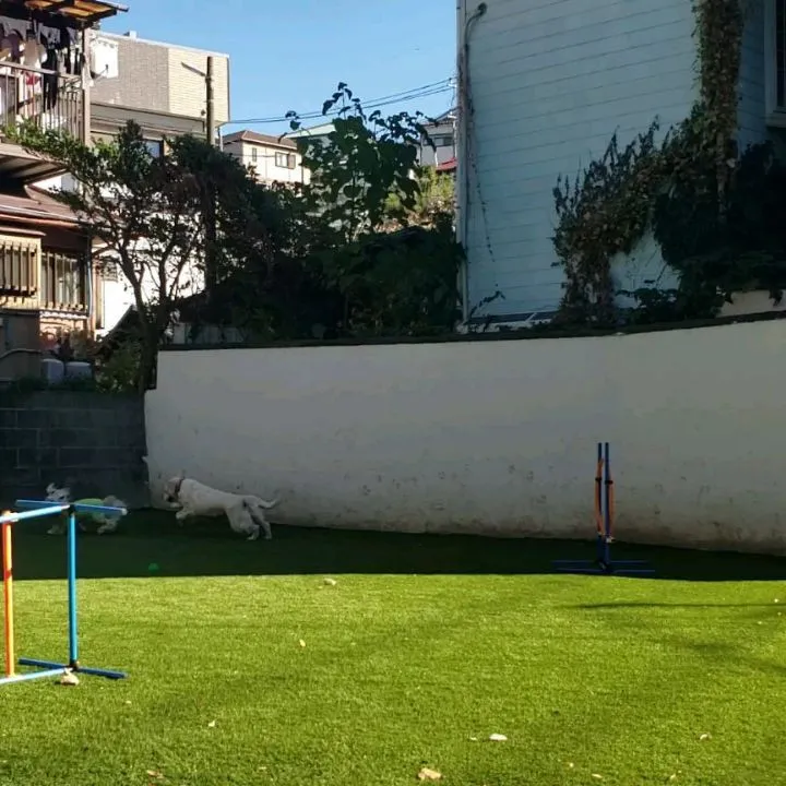 午後からは雪ちゃんも来てくれました😊