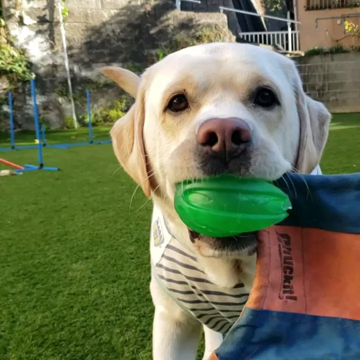 良いお天気が続いて気持ちが良いなぁ😊