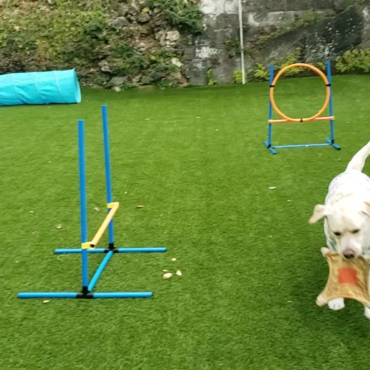 お天気かと思いきや雨が降ってきたりして不安定なお天気。