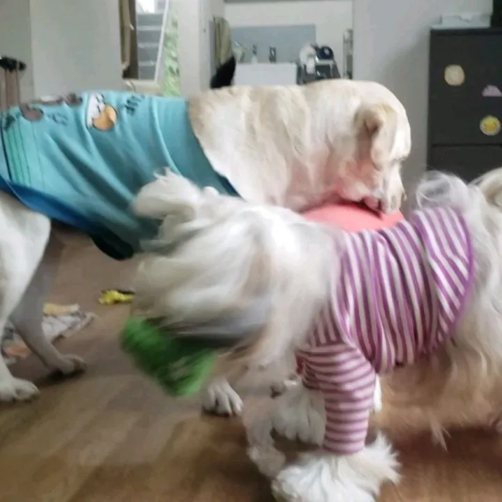 クリスマスイヴは生憎の雨☔