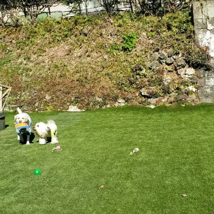 2月にはいりました🎵