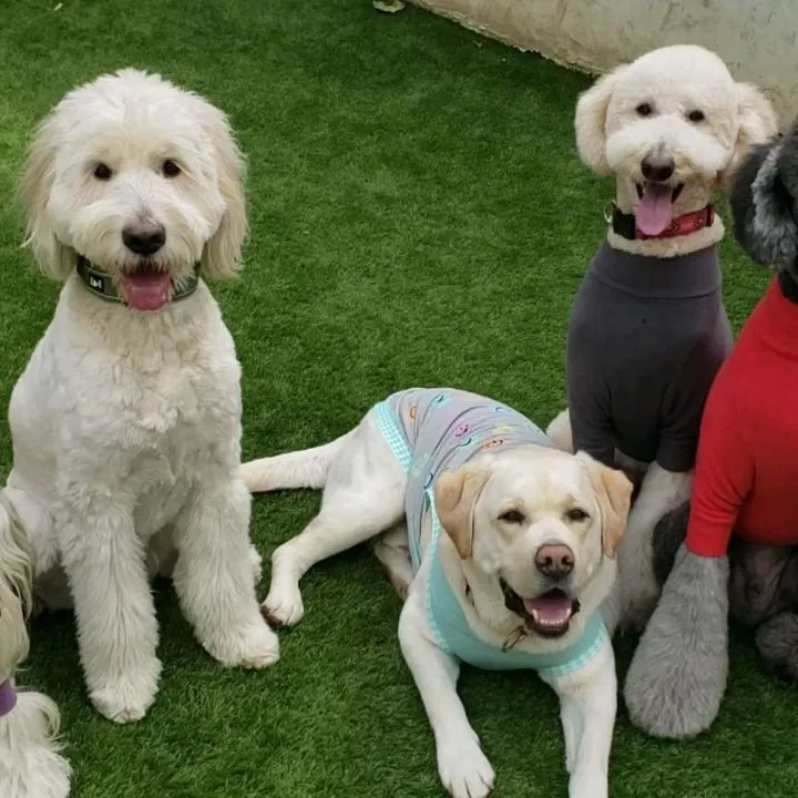 遊んだ後はコマンドレッスン💓