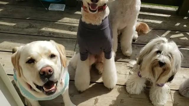 いっぱい遊んだらお部屋で休憩タイム💓