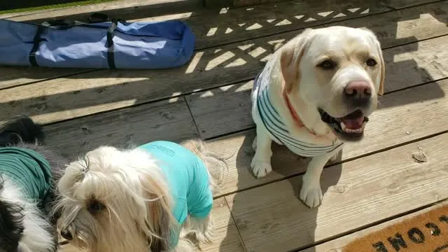 遊び終わってお部屋にはりいります。