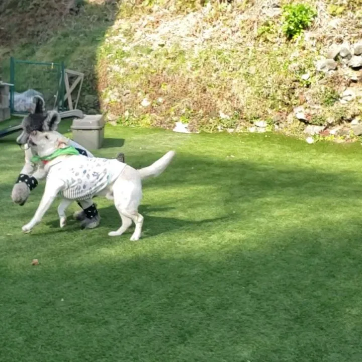 午後からもランで遊びました😊