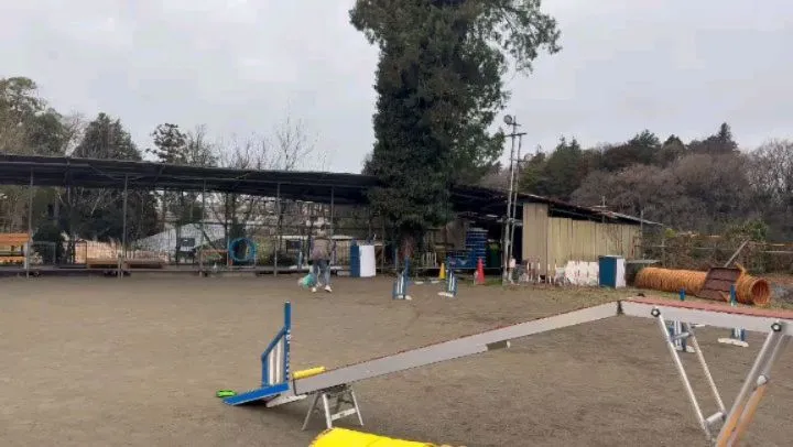 アジリテイのレッスンに行ってきました😊