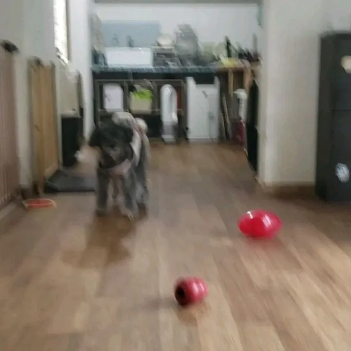 15歳のイックン♥️