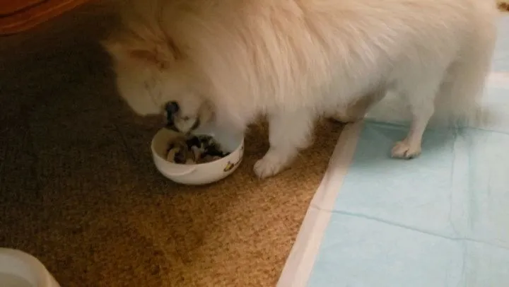 お世話に行ってきました😊