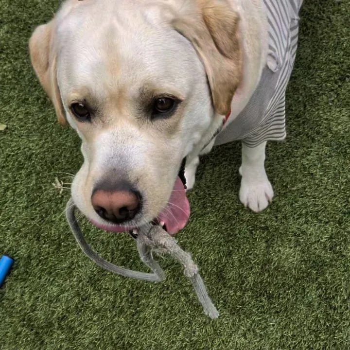 よく遊ぶちびっこたち💓