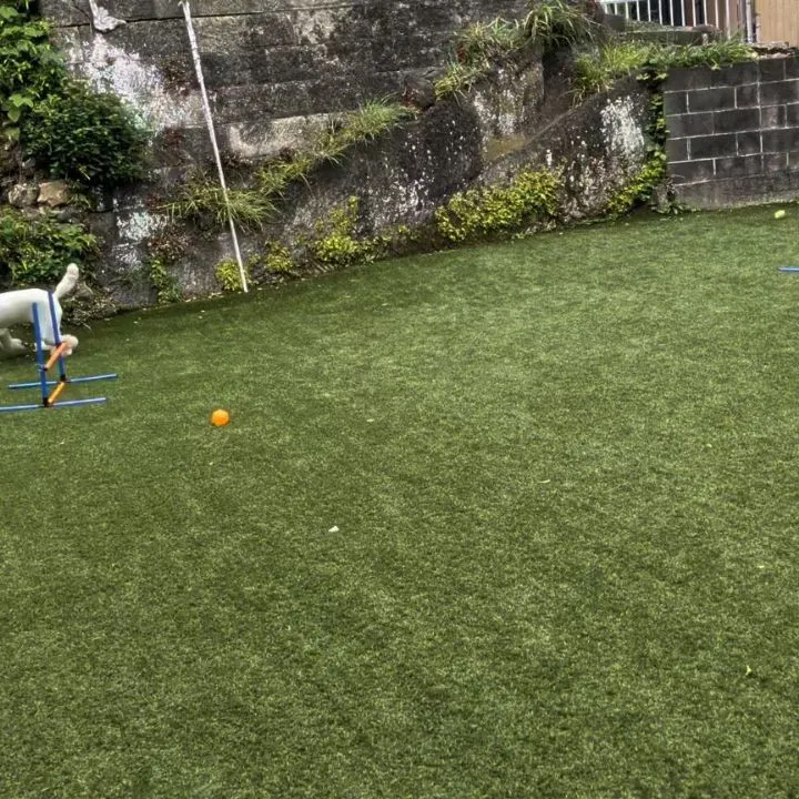 朝少しの間降ってなかったのでランで遊びました😄