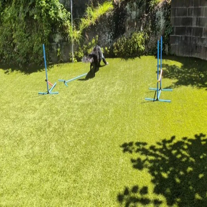 今日も暑いのでお散歩は控えてプール遊び💓